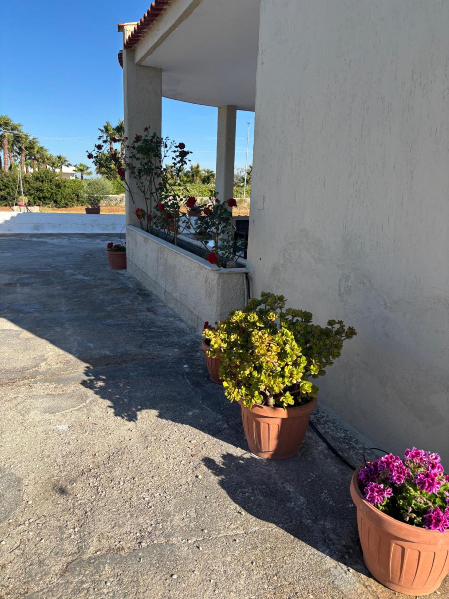 Lilly'S House Βίλα Torre Santa Sabina Εξωτερικό φωτογραφία