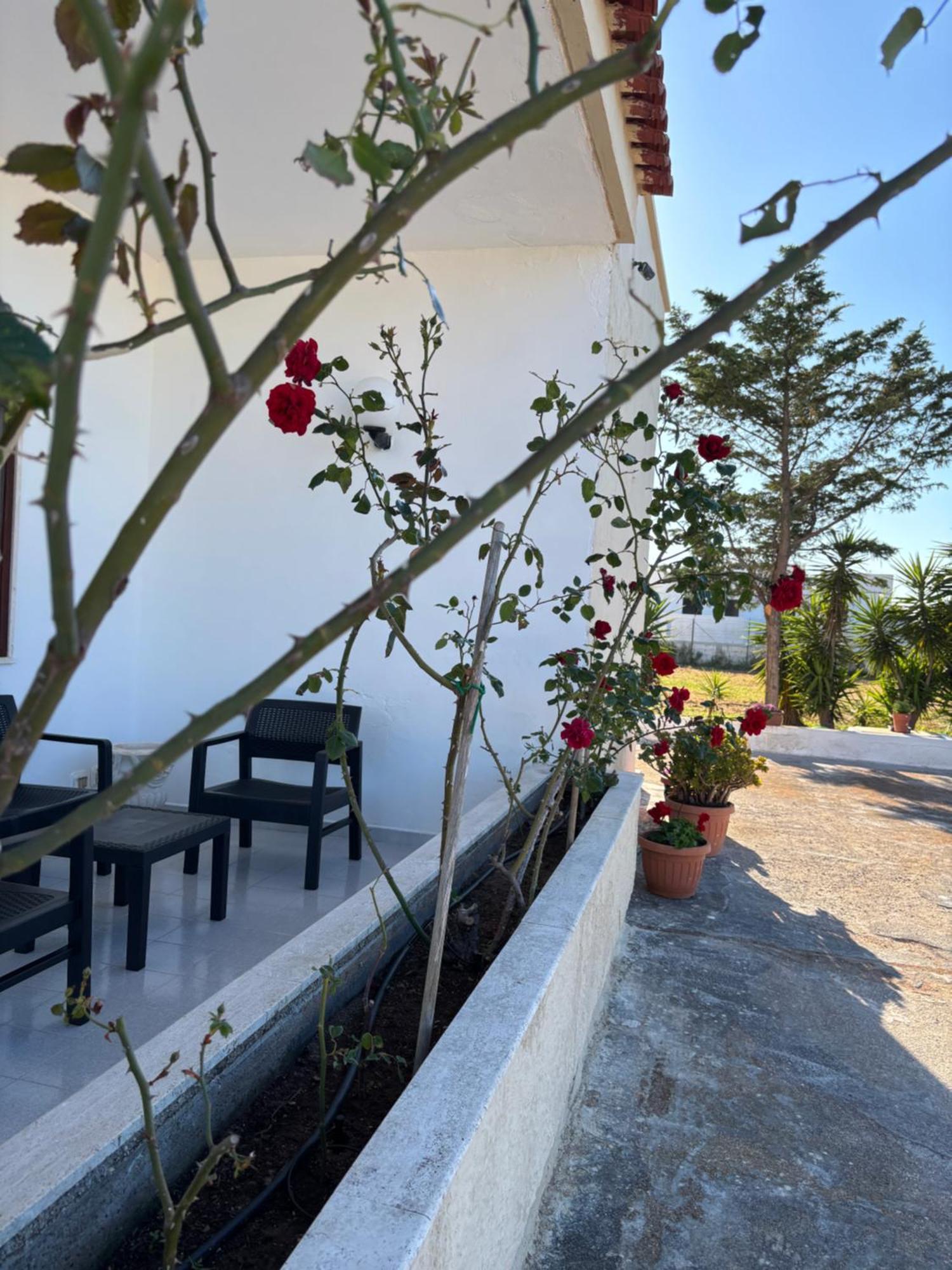 Lilly'S House Βίλα Torre Santa Sabina Εξωτερικό φωτογραφία
