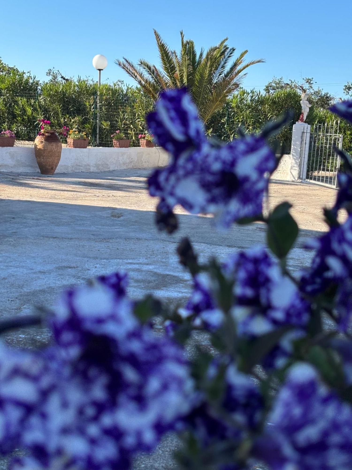 Lilly'S House Βίλα Torre Santa Sabina Εξωτερικό φωτογραφία