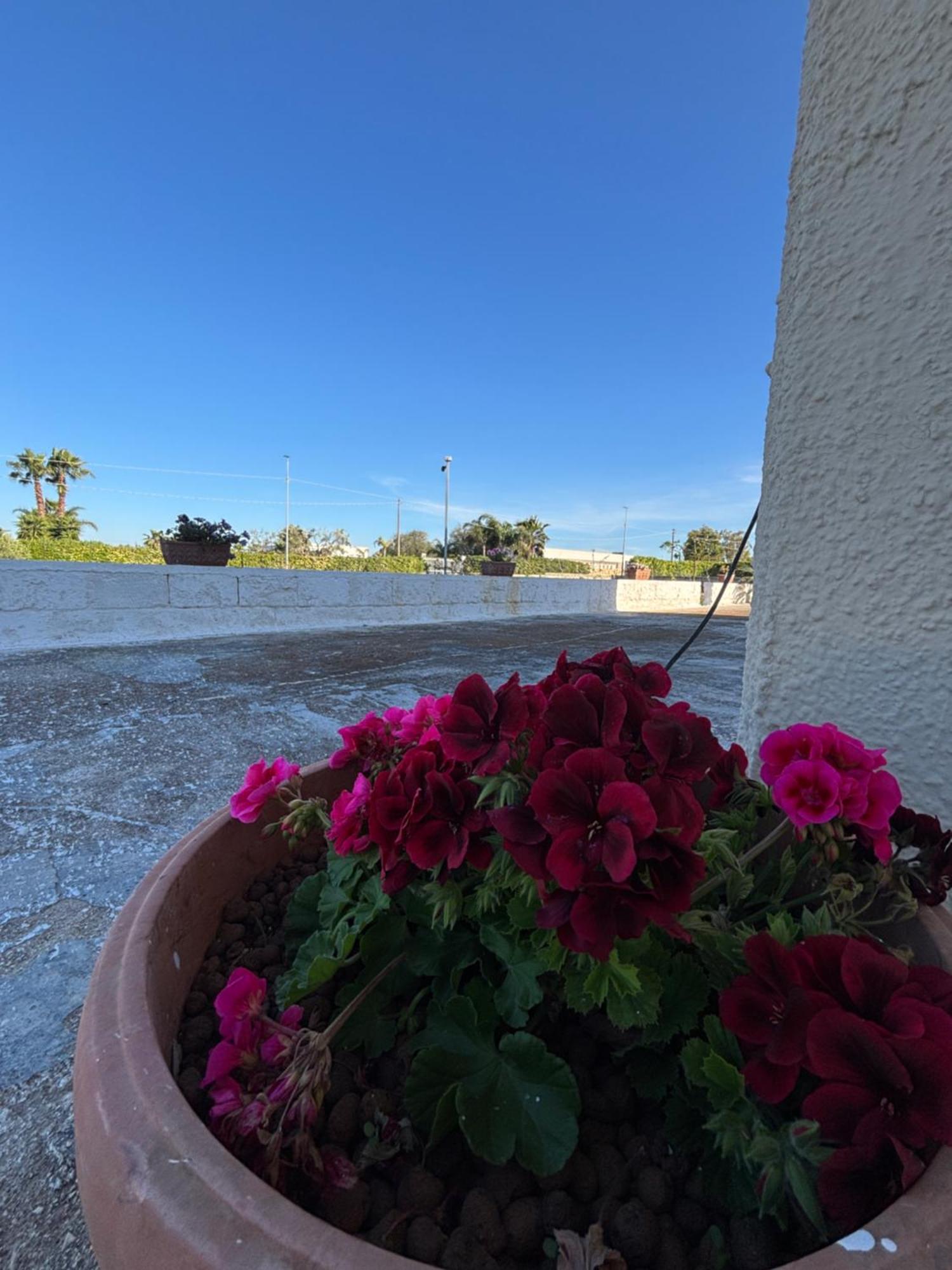 Lilly'S House Βίλα Torre Santa Sabina Εξωτερικό φωτογραφία